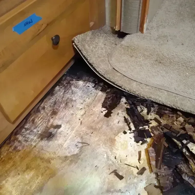 Wood Floor Water Damage in Hiram, ME